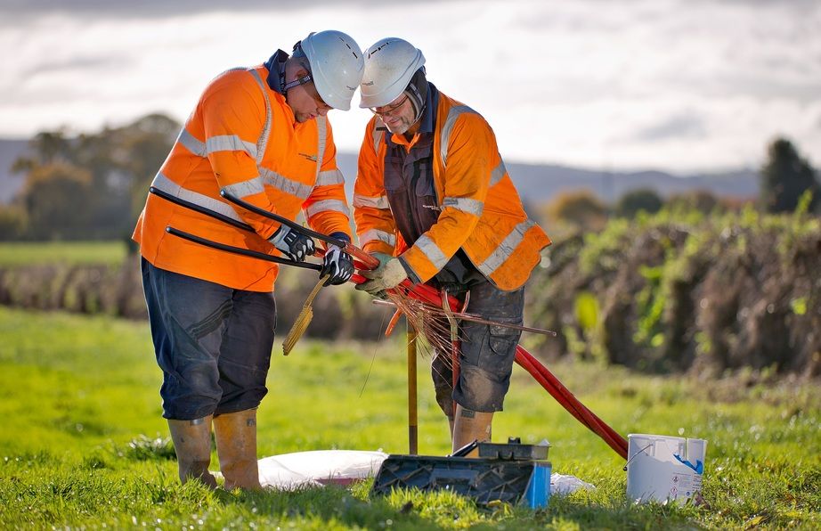 WPD engineers working in a field