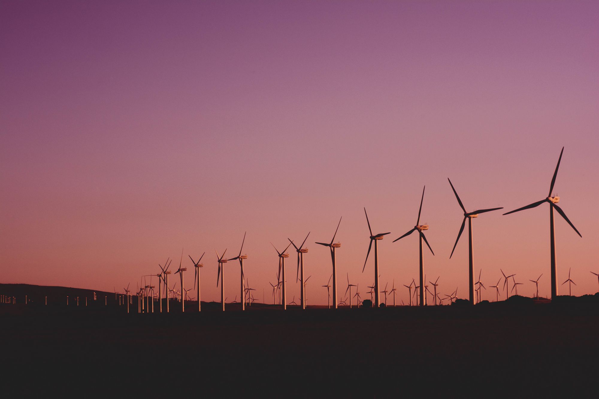 Wind turbines at sunset