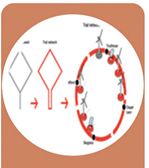 Active network ring